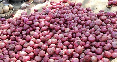 महाराष्ट्र के नासिक जिले में 14 दिन बाद प्याज की नीलामी शुरू हुई