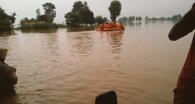 Punjab: Flood situation continues to be grim after fresh rain in several districts