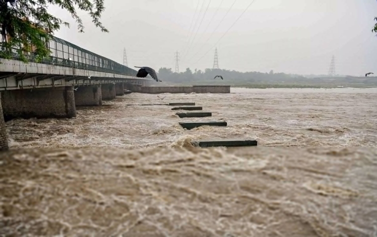 IMD issued 'orange alert' for Delhi as water level of Yamuna River surpassed danger mark of 205.33 meters