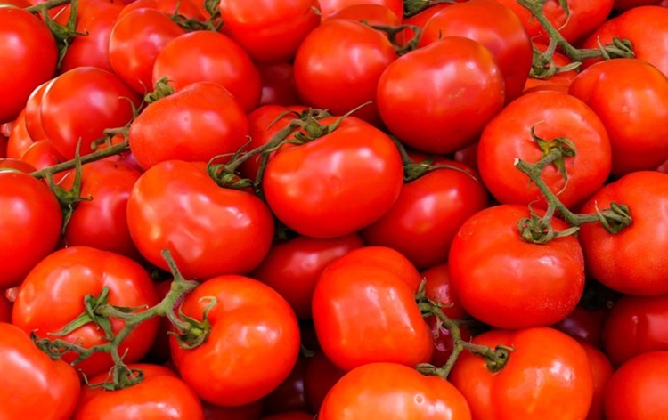 Centre reduces price of tomatoes to Rs 80 rupees per kg at sale points in several states