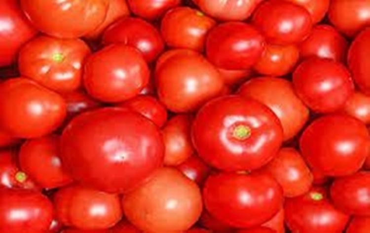 Centre announces Tomato Grand Challenge hackathon to generate innovative ideas for availability and fair pricing of tomatoes