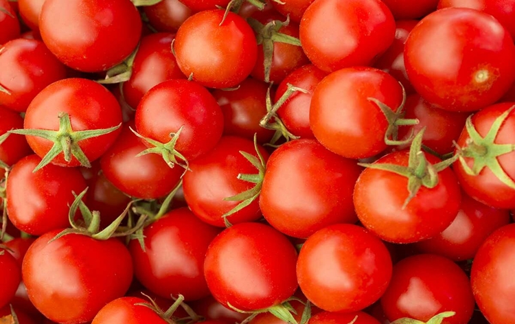 Centre slashes price of tomato, to be sold at Rs 70/kg from tomorrow
