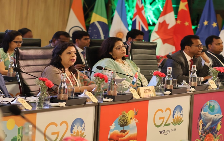 4th ECSWG & Environment & Climate Ministers' meeting begins in Chennai