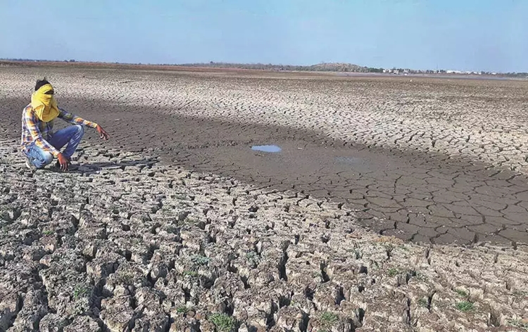 Jharkhand: Several districts rain deficit by more than 35%, Farmers facing drought like situation