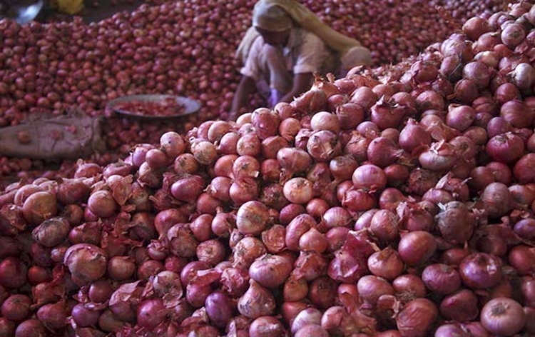 Centre commenced release of stocks from onion buffer of three lakh metric tonnes