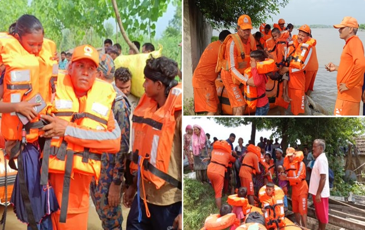14 teams of NDRF are conducting Search & Rescue operations in Himachal Pradesh & Punjab