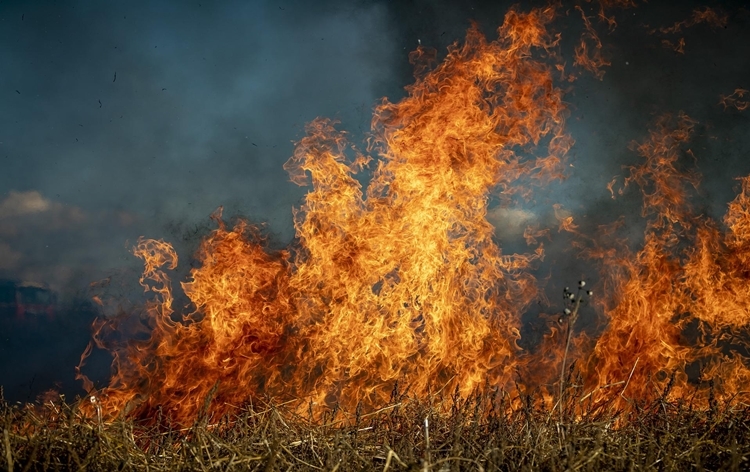 Greece: Fire still burning out of control in foothills near Athens and Evros region, atleast 20 people dead