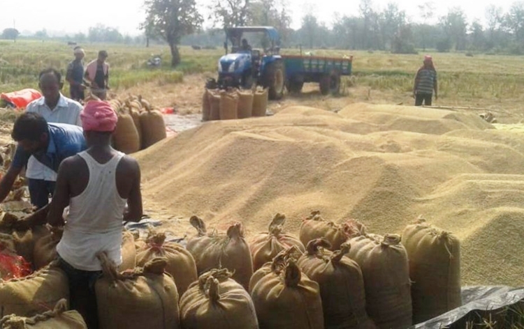 More than 521 lakh metric tonnes rice estimated to procured during forthcoming Kharif Marketing Season 2023-24