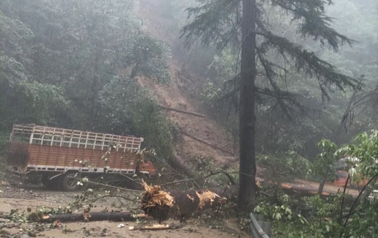 Incessant rainfall disrupts normal life in Himachal Pradesh