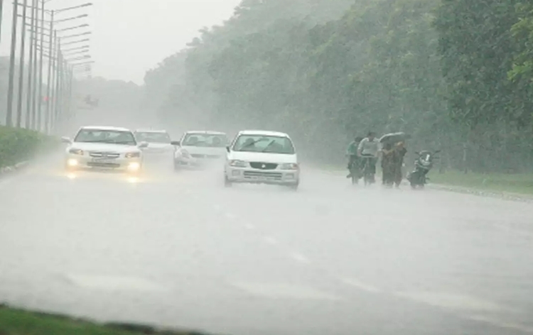 Rains resume in Kerala