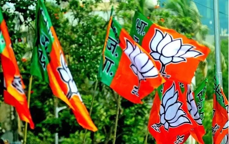BJP wins 21 of 30 seats of local bodies that went for by polls